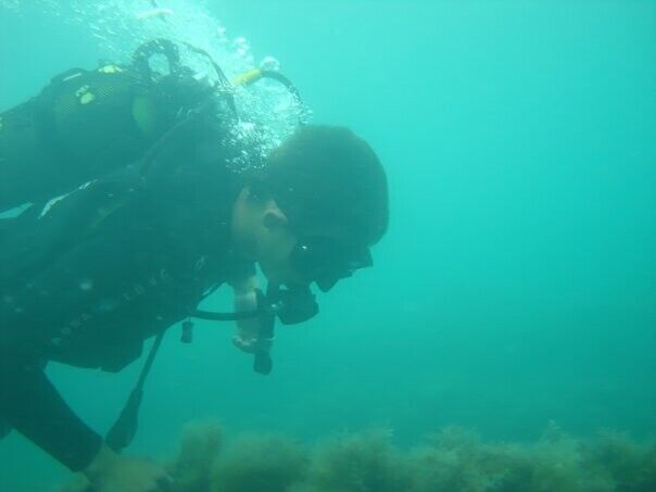 ���� 22311426 ������� ������, 39 ���, ���� ���������� � ������������