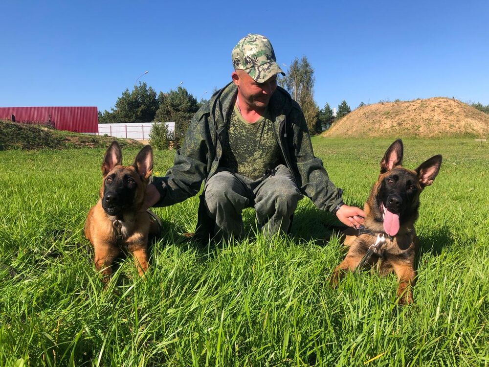 ���� 38353806 ������� Valerik, 44 ����, ���� ���������� � ������