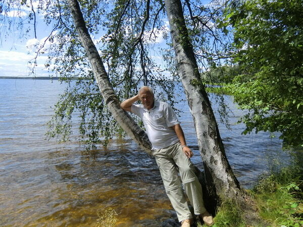 ���� 52650946 ������� �����, 65 ���, ���� ���������� � �����