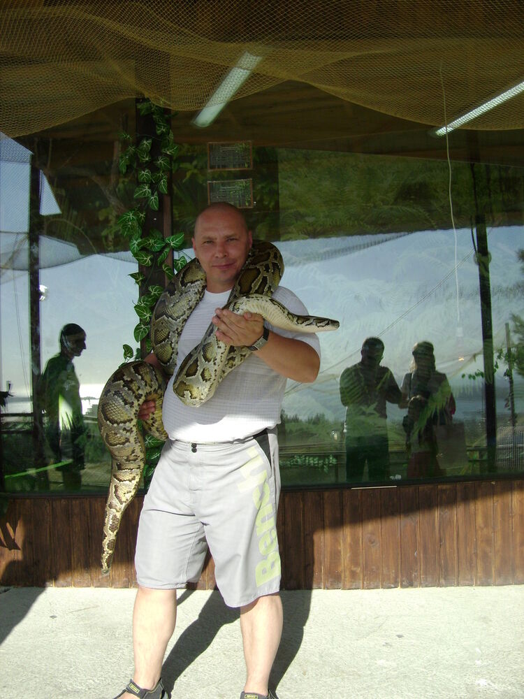  ,   , 47 ,   