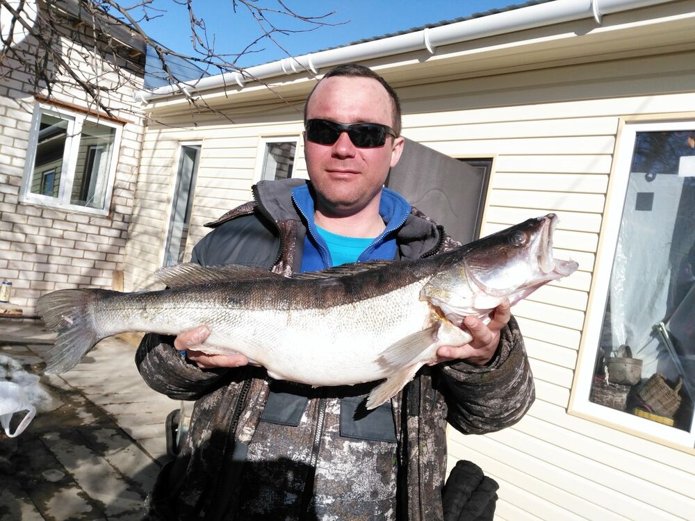 ���������� ��������, ���� ������� ����, 43 ����, ������������ ��� ������, ����� � ���������, c�������� ���������