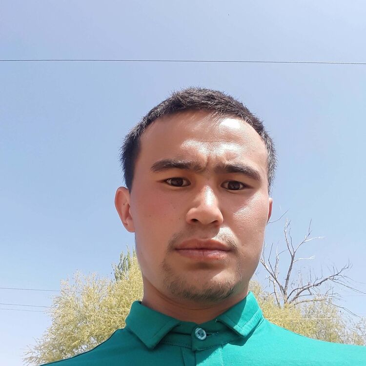 ���� 19626916 ������� �������, 29 ���, ���� ���������� � ������