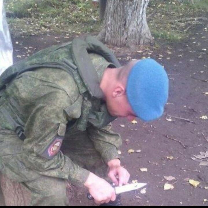  47735596  , 29 ,    