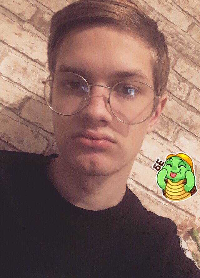  32225506  , 24 ,    