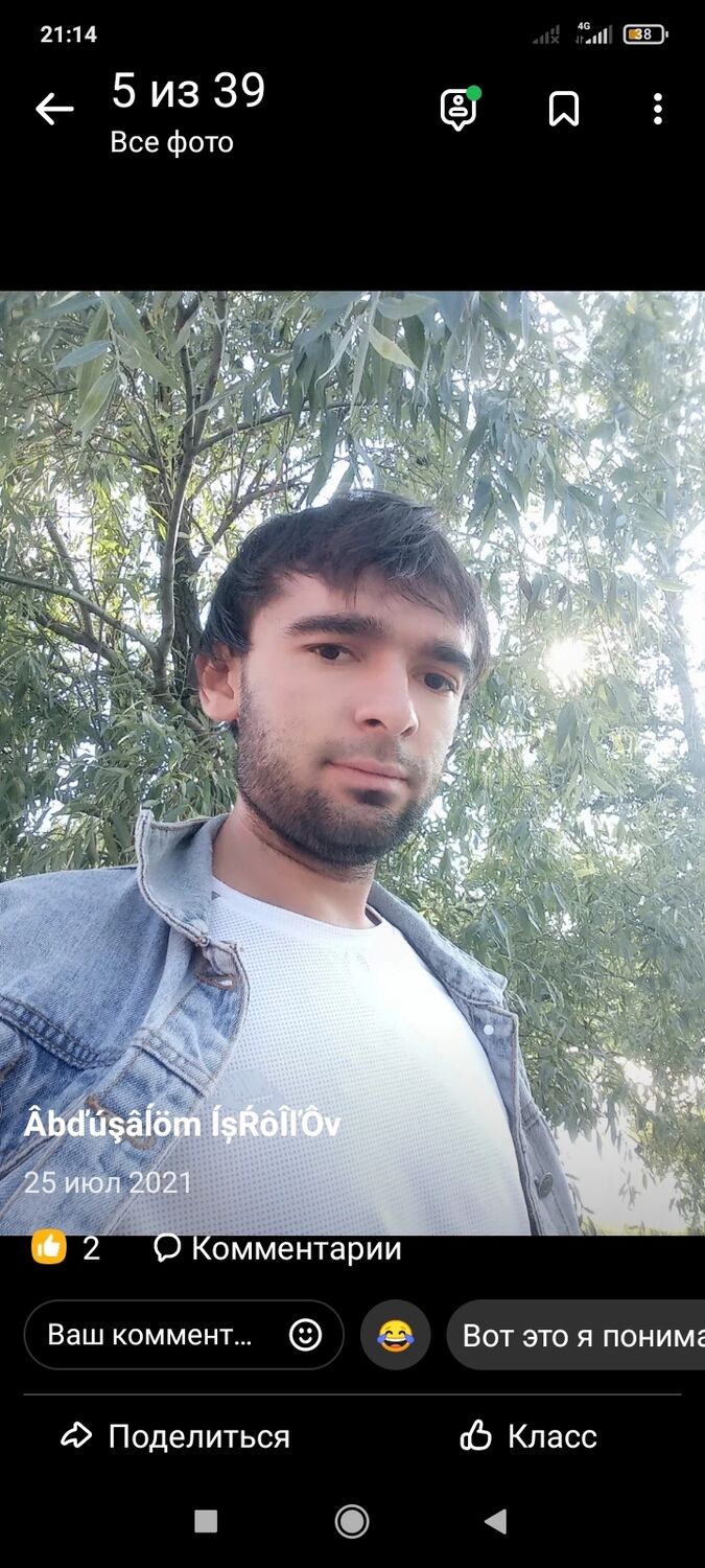  -,   Salom, 31 ,   ,   