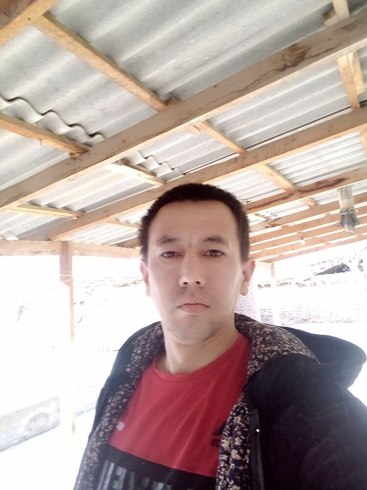  50511716  , 34 ,    