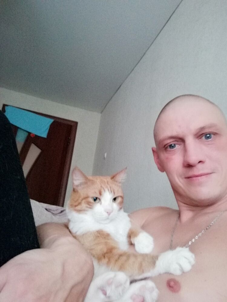 ���� 25378836 ������� ����, 44 ����, ���� ���������� � �����