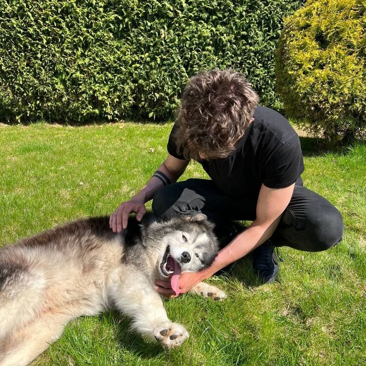  27095156  Ivan, 28 ,    