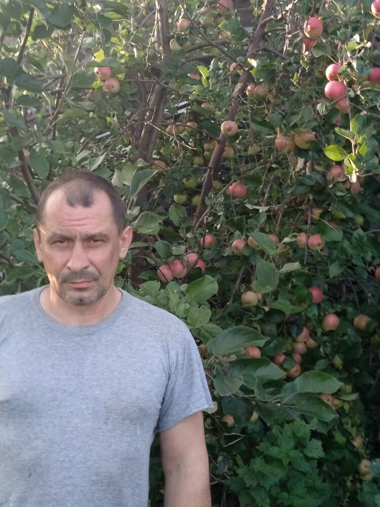 ���� 53702006 ������� ����, 30 ���, ���� ���������� � ������ ������