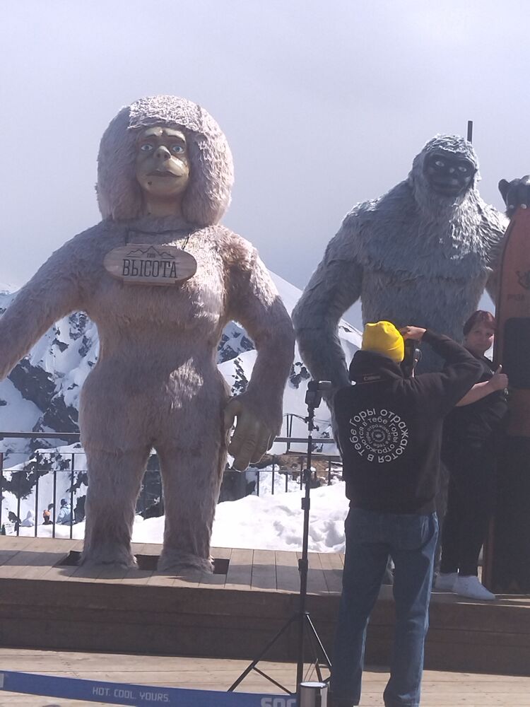 ���� 42426626 ������� ����, 32 ����, ���� ���������� � ����