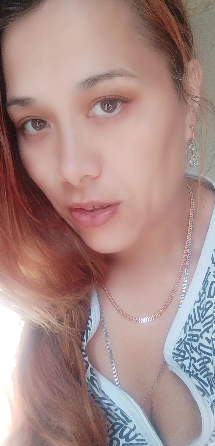  -,   , 41 ,   ,   , c 