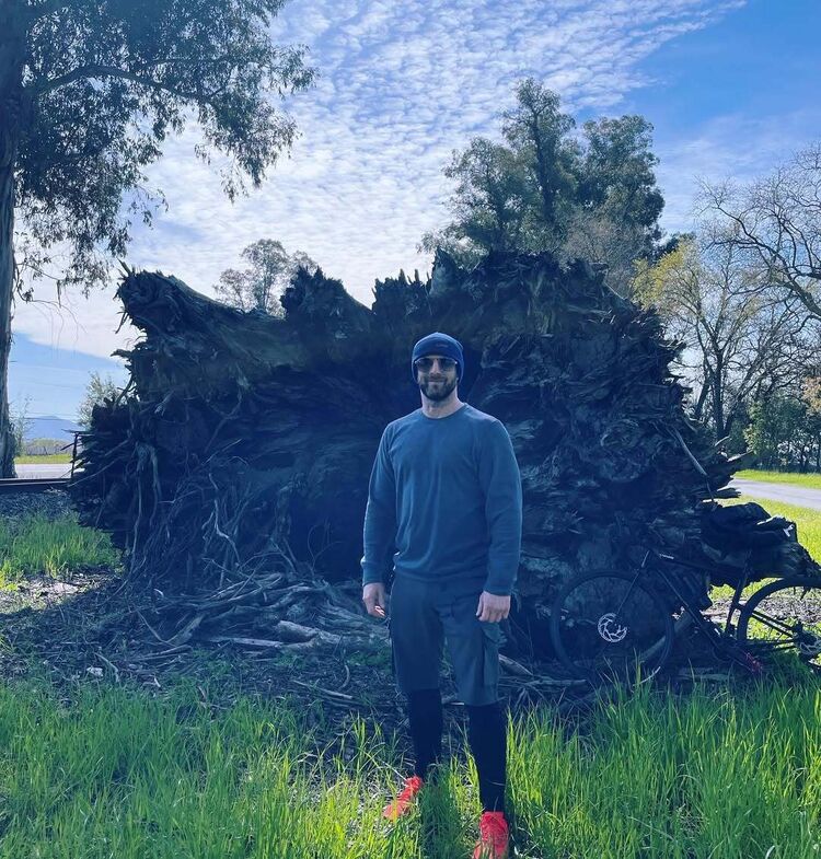 ���� 55995106 ������� ���������, 45 ���, ���� ���������� � �����������