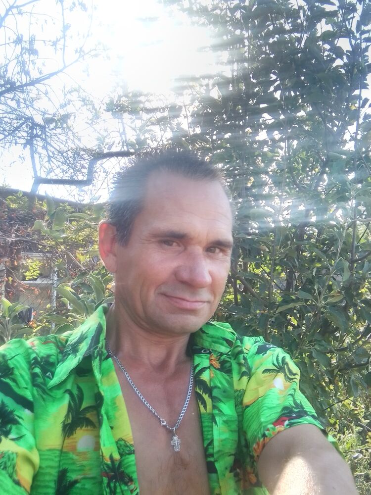  53399636   , 46 ,    