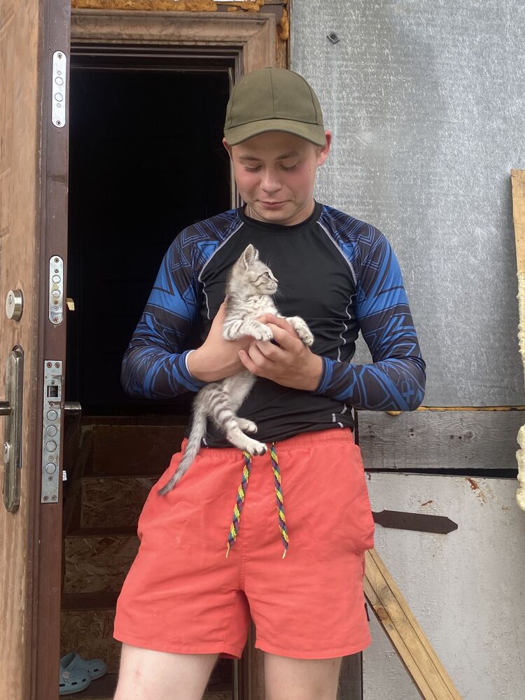 ���� 53168216 ����� ����, 21 ���, ���� ���������� � ��������