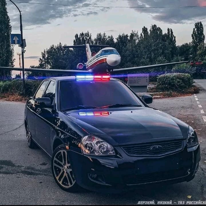 ���� 31098636 ����� ������, 24 ����, ���� ���������� � �����