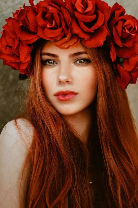 ���������� ����, ���� ������� ��������, 27 ���, ������������ ��� ������, ����� � ���������, c�������� ���������, ���������