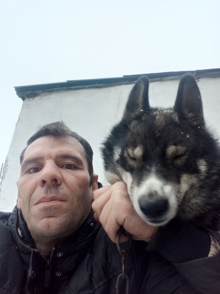 ���� 55075216 ������� ����, 46 ���, ���� ���������� � ���������