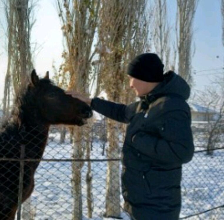 ���� 35478746 ������� �����, 28 ���, ���� ���������� � ������