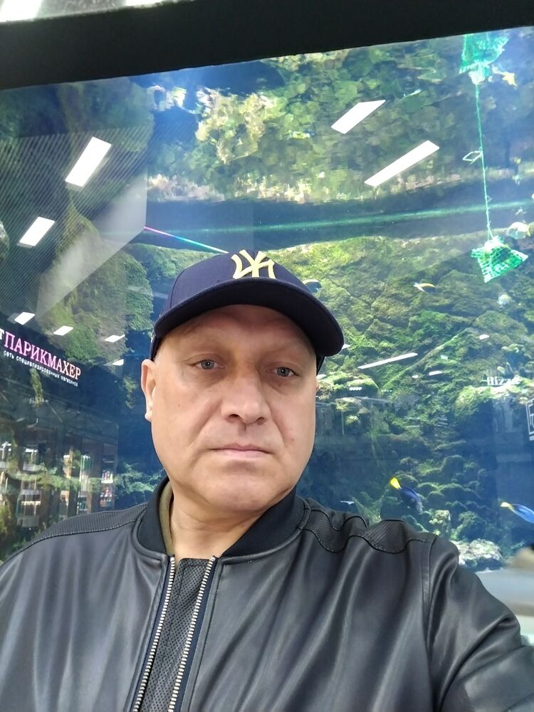  53570266  , 43 ,    