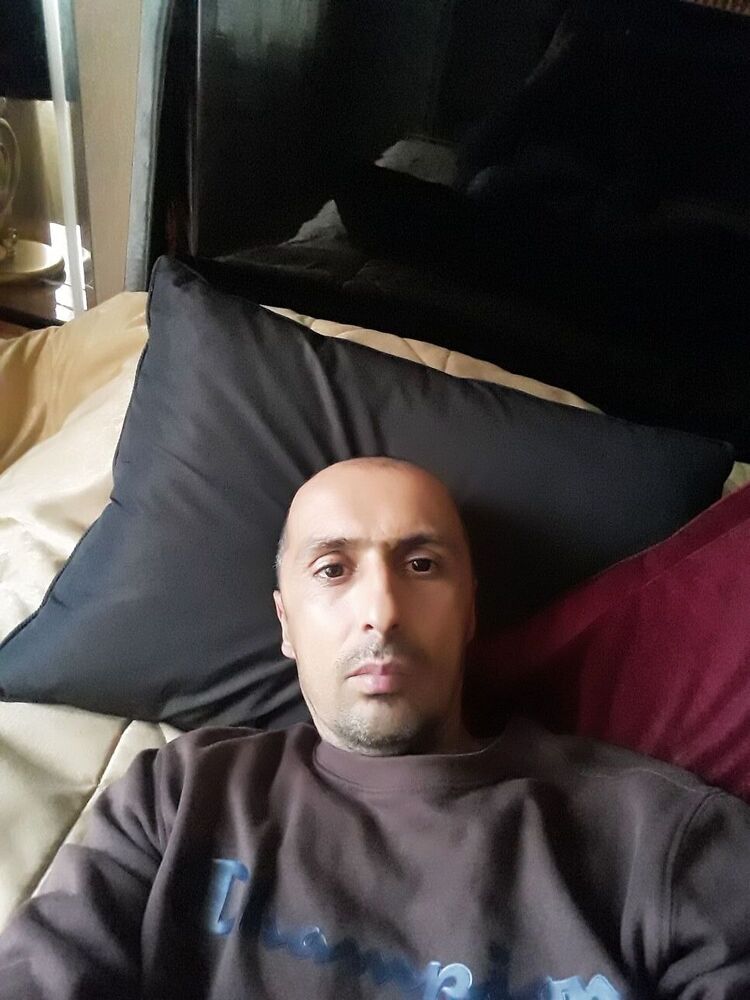  31741546  , 44 ,    
