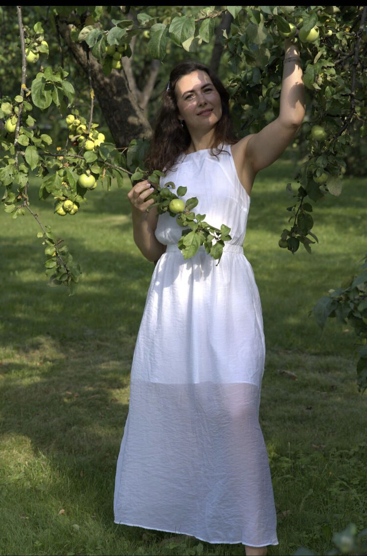  53570496  , 44 ,    -