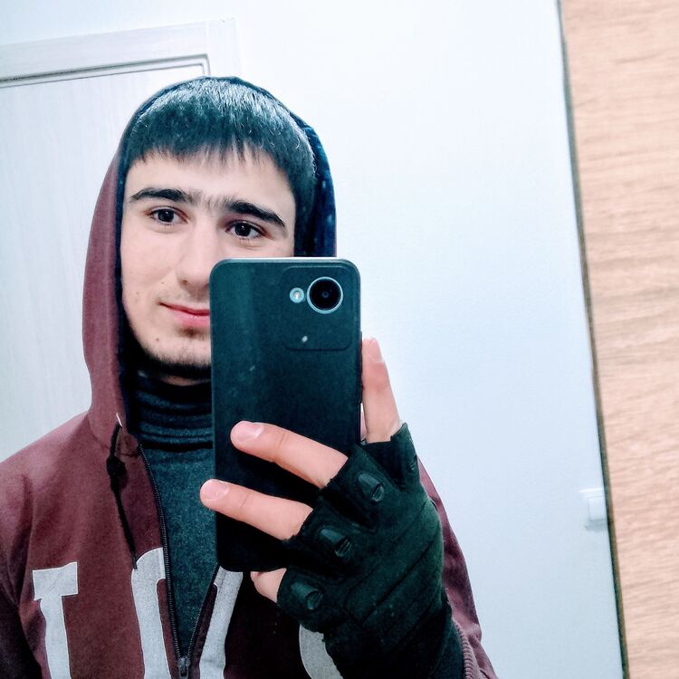  33494706  , 24 ,    