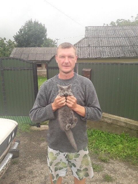 ���� 13054586 ������� �������, 46 ���, ���� ���������� � �����