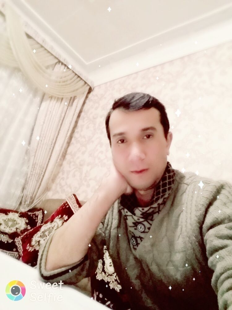  15919496  , 43 ,    -