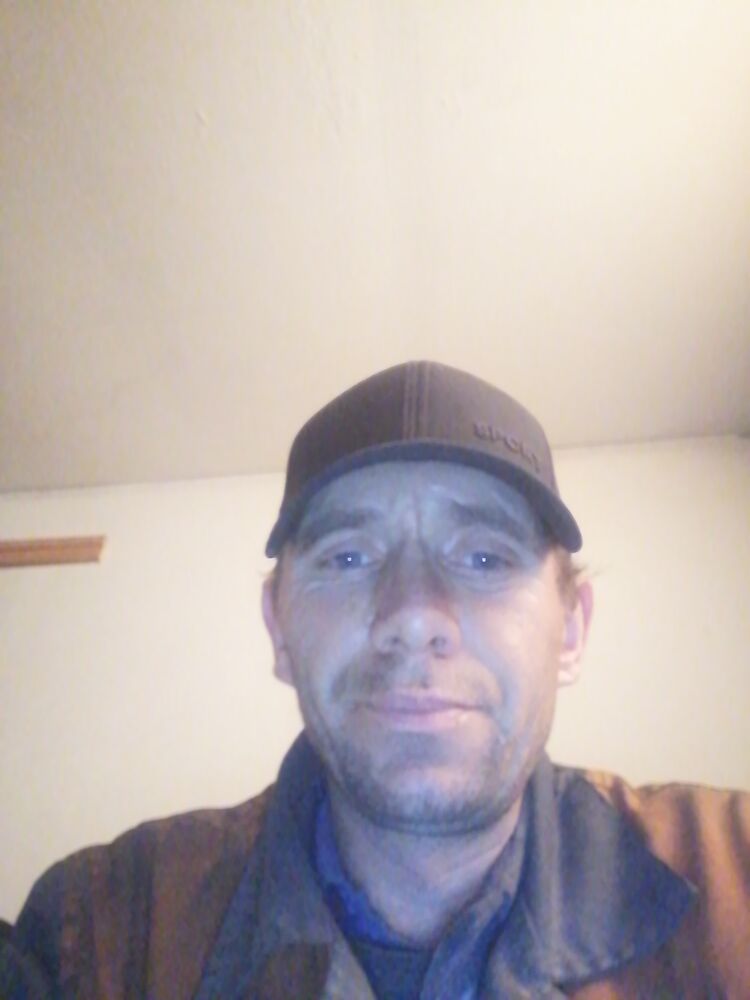  33040046  , 43 ,    