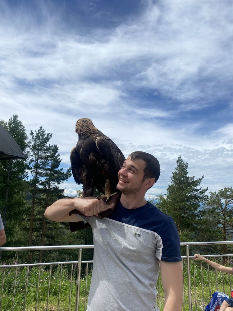 ���� 30836266 ������� ������, 36 ���, ���� ���������� � �����������