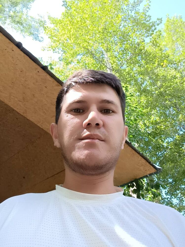 ���� 41459006 ������� ����, 38 ���, ���� ���������� � �������