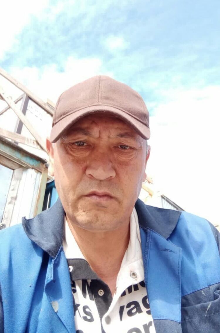  31830716  , 54 ,    -