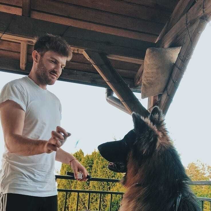 ���� 54784476 ������� ������, 36 ���, ���� ���������� � ������