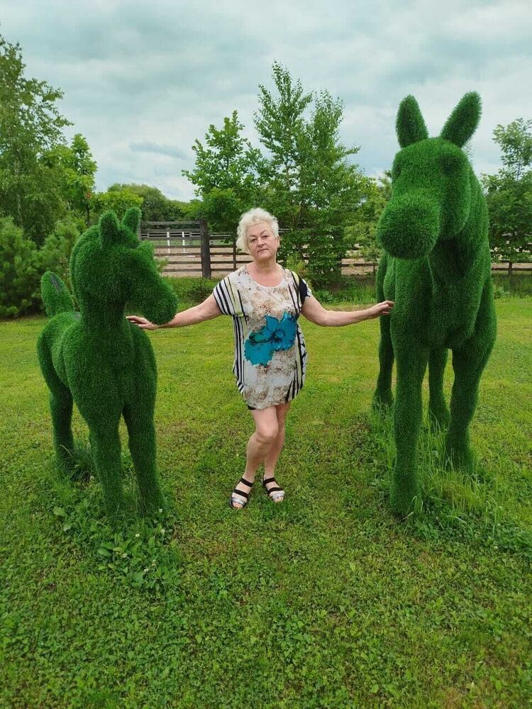 ���������� �����������, ���� ������� �����, 55 ���, ������������ ��� ������, ����� � ���������