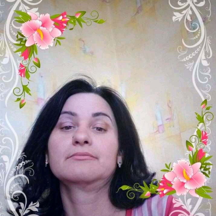  26027786  , 49 ,    