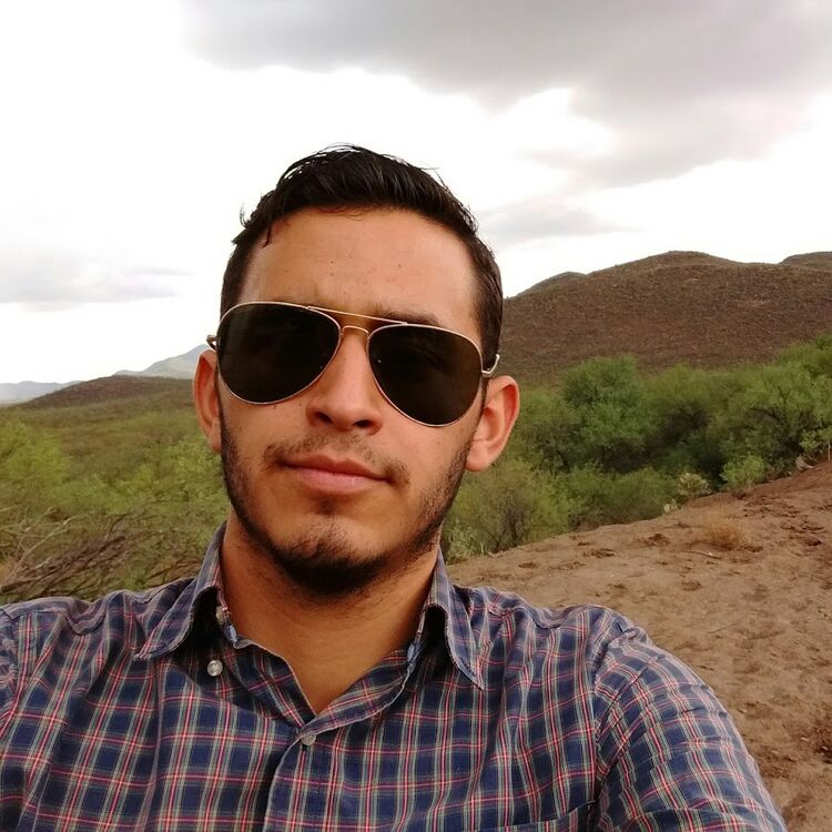 ���� 28416816 ������� �����, 31 ���, ���� ���������� � ���������