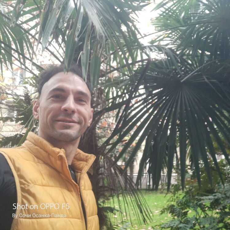 ���� 31203586 ������� ������, 38 ���, ���� ���������� � �������