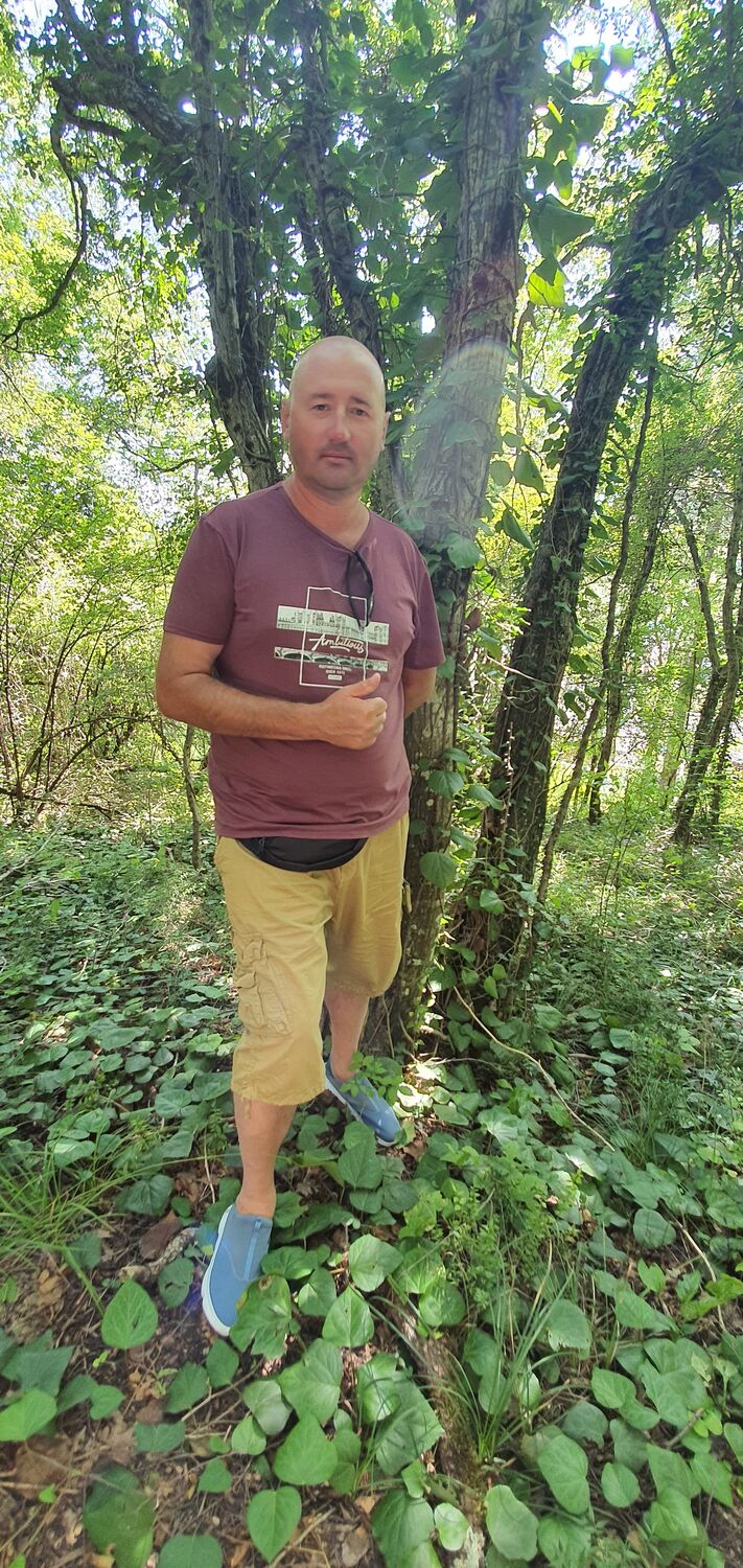  --,   , 45 ,   ,   