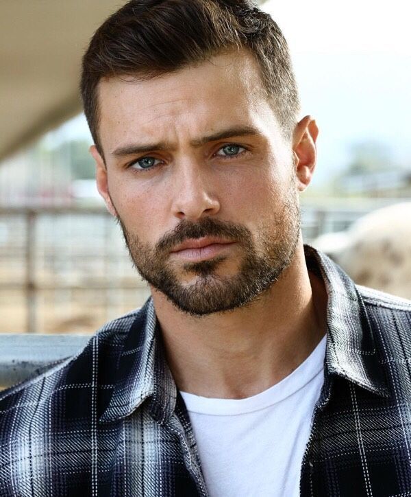 ���� 55565006 ������� Ed, 45 ���, ���� ���������� � �������