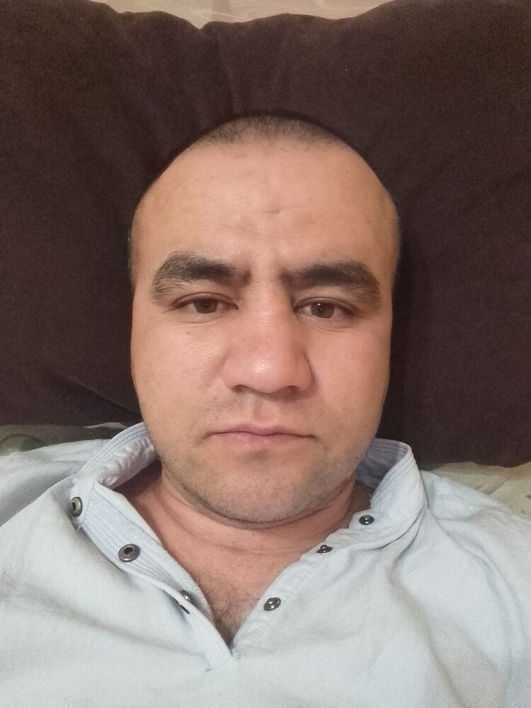  43187796  , 38 ,    