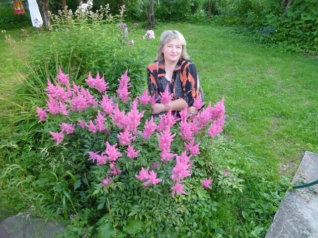 ���� 41661836 ������� �����, 50 ���, ���� ���������� � ������