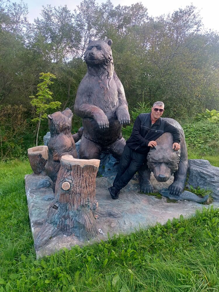  53973386  , 39 ,    -