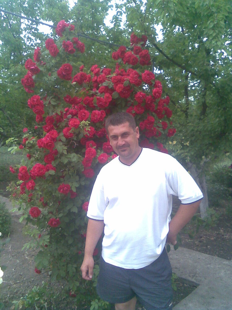 ���� 7284636 ������� �����, 48 ���, ���� ���������� � ���������������