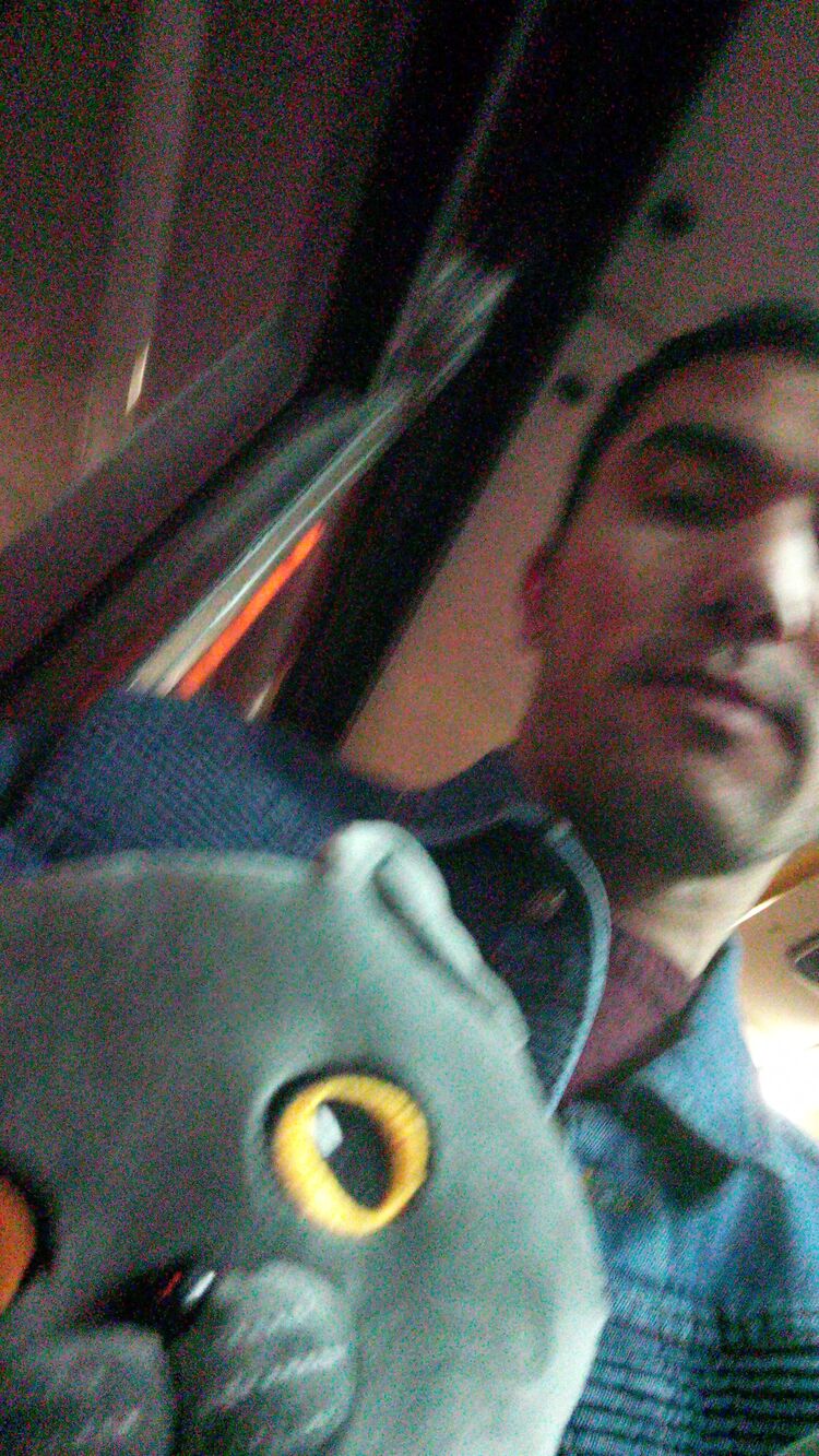 ���� 46575486 ������� �������, 39 ���, ���� ���������� � �����������