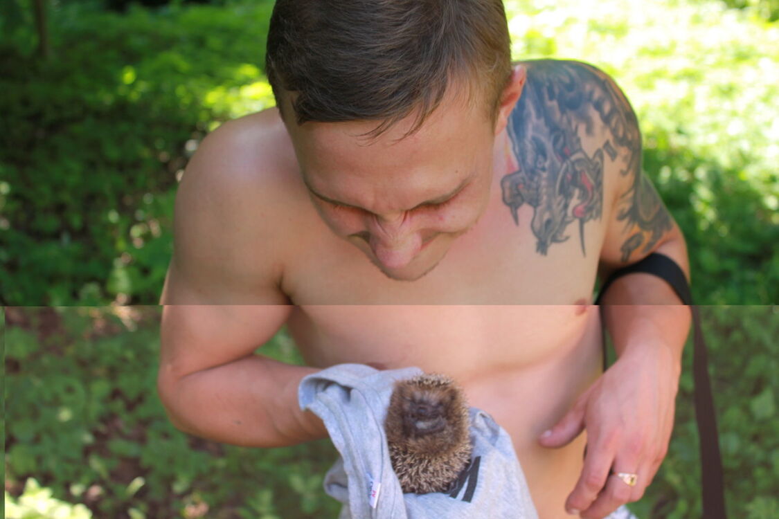 ���������� �����-���������, ���� ������� �����, 37 ���, ������������ 