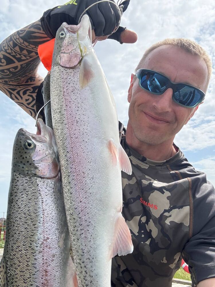  ,   , 43 ,   ,   