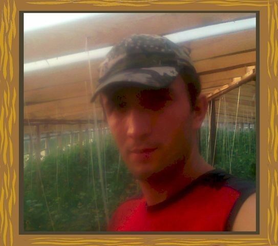  6000046  , 39 ,    