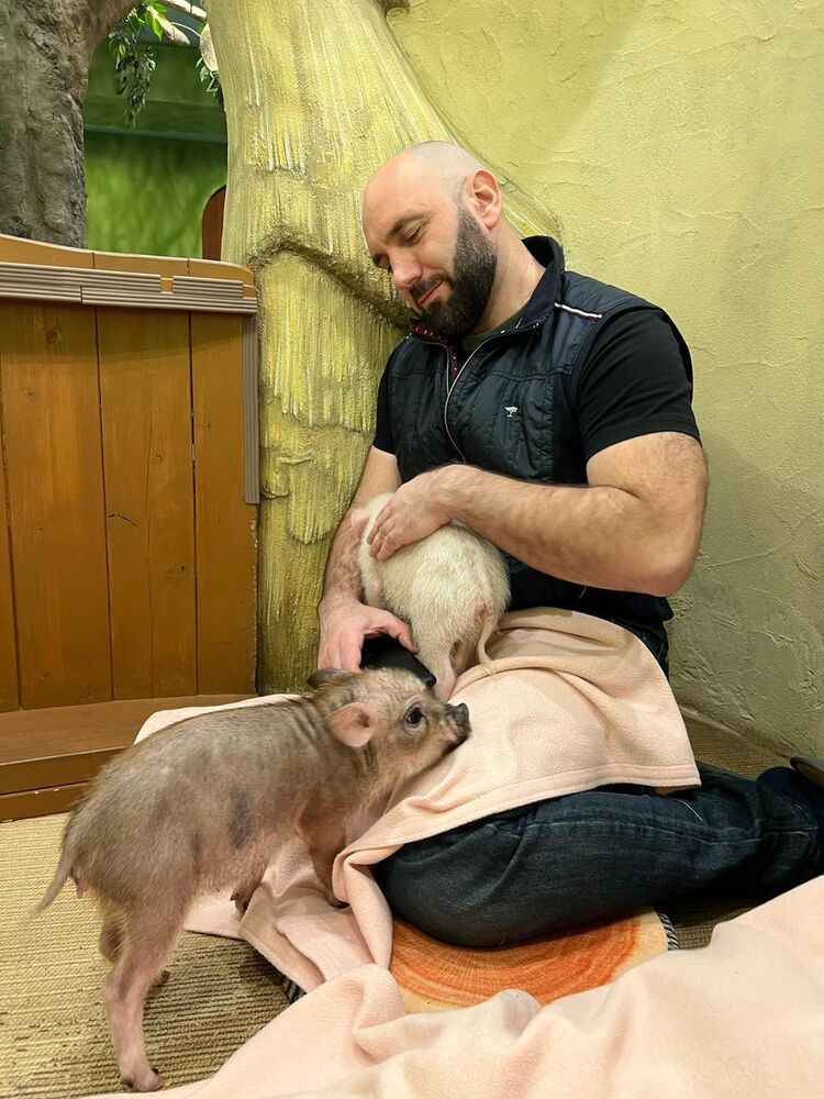 ���� 44205906 ������� �������, 43 ����, ���� ���������� � ������