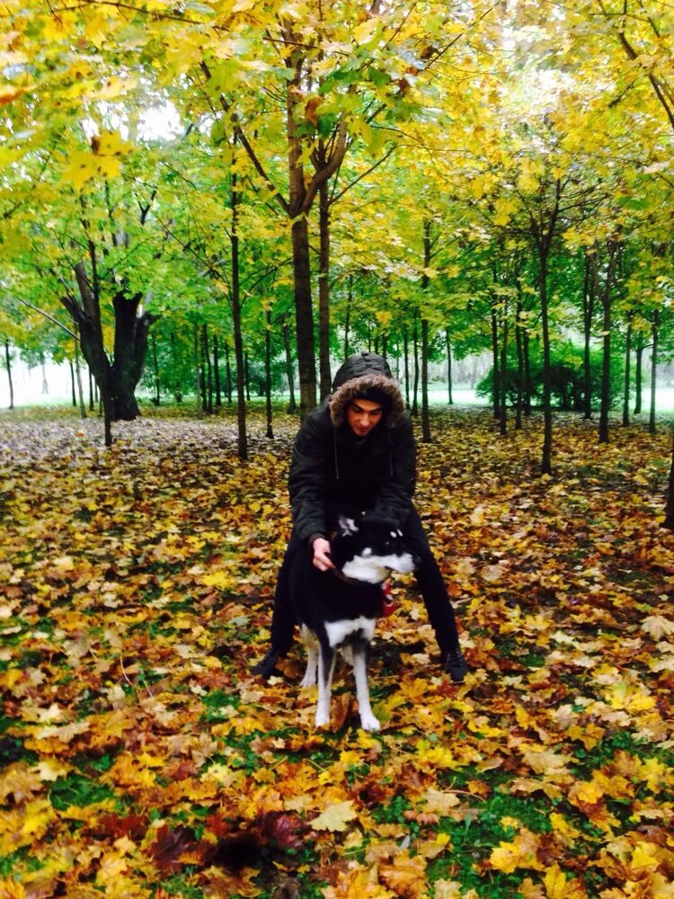 ���������� ������, ���� ������� �������, 27 ���, ������������ ��� c�������� ���������