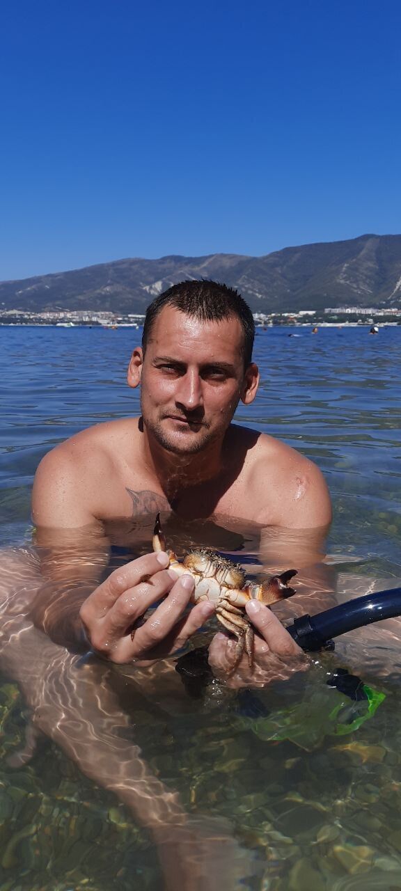 ���������� �������, ���� ������� ������, 36 ���, ������������ ��� ������, ����� � ���������